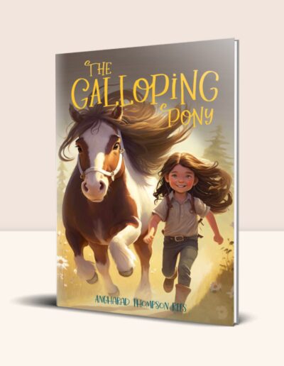The_Galloping_Pony_Children's Book_Angharad Thompson Rees_Little_Whimsey_Press